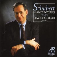 Fantasy In C Major, Op. 15, D. 760: Presto - David Golub