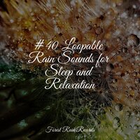 Rain, Evening, Leaves - Namaste Yoga & Sample Rain Library & Kinderlieder-Superstar