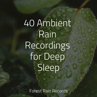 Storm & Wind Outside - Rain & Massage & Meditation Relaxation Club
