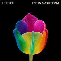 The Last Suppit - Lettuce