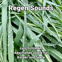 Regengeräusche für Hunde - Enna Maras & Rain Sounds & Nature Sounds