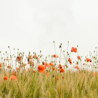 Happy to Be - Massage Tribe & Mindfulness Meditation Universe & Academia de Relaxamento e Meditação