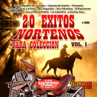 No Platiques - Los Relampagos del Norte