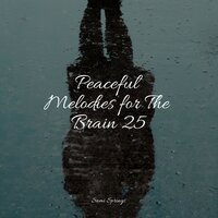 Waves of Rain - Yoga Trainer & Soothing Baby Music & Ambiente