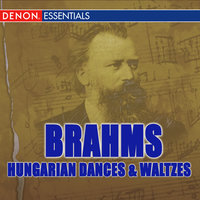 Waltz for Piano No. 11 in B Minor, Op. 39 - Karin Lechner & Иоганнес Брамс