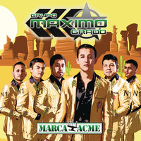 El Tacuache - Grupo Máximo Grado