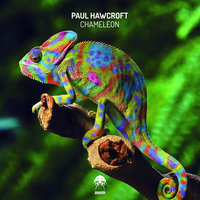 Chameleon - Paul Hawcroft & Kiz Pattison