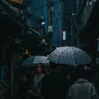 Night Droplets - Calming Rainforest Sounds & Massage Music & Ambientalism