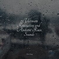 Garden Rains - Sol y Lluvia & Binaural Beats Brain Waves Isochronic Tones Brain Wave Entertainment & Rising Higher Meditation