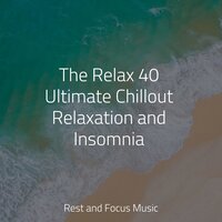 Footsteps in the Forest - Guided Meditation Music Zone & Best Kids Songs & Ambient Forest