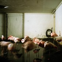 Step Aside, Please - Michael Hoppé