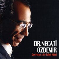 Çıktım Yücesine Seyran Eyledim - Necati Özdemir