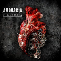 Reality - Amduscia