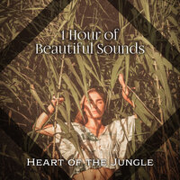 Heart of the Forest - Hypnosis Nature Sounds Universe