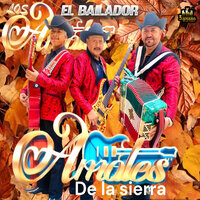 Cuando Yo Queria Ser Grande - Los Amoles De La Sierra