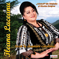 Scot la dusmani carabina - Ileana Laceanu & "Lăutarii" din Chișinău & Nicolae Botgros