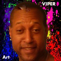 A Plane of Symmetry - Viper
