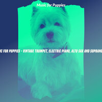 Cheerful Puppy Anxiety - Music for Puppies