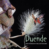 Don't Say Anything - Duende & Ketevan Tughushi & Tomislav Zvardoň