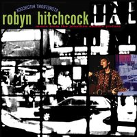 Glass Hotel - Robyn Hitchcock