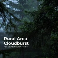 Songbirds and Crickets - ASMR Rain Sounds & Rain Sounds Nature Collection & Sleepy Rain