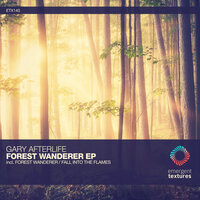 Forest Wanderer - Gary Afterlife