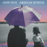 Media Quake - Gruff Rhys
