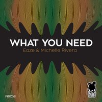 What You Need - Eaze & Michelle Rivera