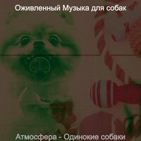 Видения (Одинокие собаки) - Оживленный Музыка для собак