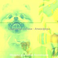 Созерцая (Собаки) - Музыка для собак Коллекции