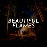 Scenic firelight - Gorgeous firelight & Stunning campfire & Lovely blaze