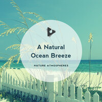 Join The Wave Club - Nature Atmospheres & Rest & Relax Nature Sounds Artists