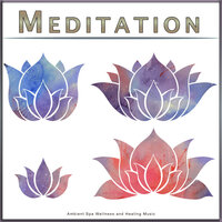 Meditation Music and Zen Nature Sounds - Meditation Music Collective & Meditation Playlist & Meditation