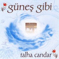 Ne Olursun Gel - Talha Candar