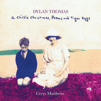 Should Lanterns Shine - Cerys Matthews