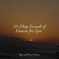 Curacao Vagabond - Best Relaxing Spa Music & Alpha Waves & Lullabies for Deep Meditation