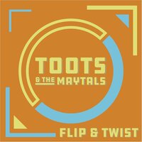There Is a Reason - Toots & The Maytals