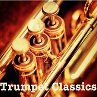 Wrecking Ball - Acoustic Heroes & The Trumpet Man