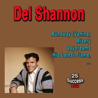 So Long Baby - Del Shannon