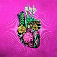 Somos Flores - Yu
