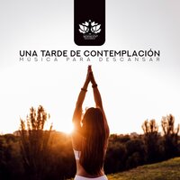 Sonidos Curativos - Meditación Música Ambiente