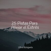 Interpretaciones Del Flujo De Agua - Relajante Academia de Música Zen & Meditacionessa & Dormir