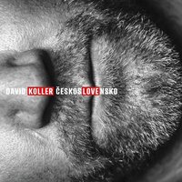Recidiva - David Koller