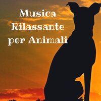 Caleidoscopio - Italia Zen 101