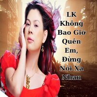 LK Không Bao Giờ Quên Em / Đừng Nói Xa Nhau - Thanh Thảo