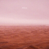 Feels - Monkyman