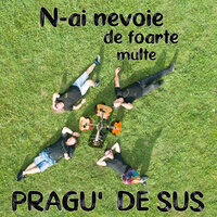 N-Ai Nevoie De Foarte Multe - Pragu' de Sus
