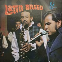 Mi Ultima Carta - Latin Breed