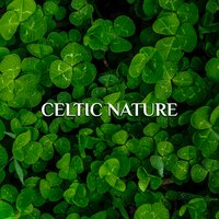 Theme from Twilight - Celtic Chillout Relaxation Academy