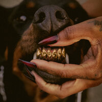FEELINGS ON SILENT - Leon Thomas & Wale